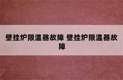 壁挂炉限温器故障 壁挂炉限温器故障